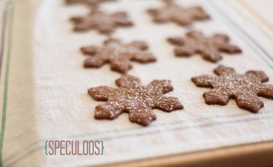 Bouchon Bakery Speculoos Cookies by Miss Renaissance